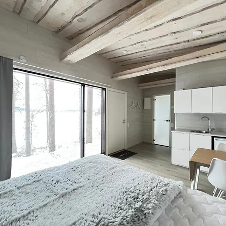With Sauna Apartamento Jyväskylä